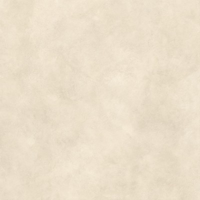 Керамогранит AYT8 Boost Expression Shell Matte 120x120