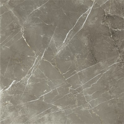 Керамогранит 600010002388 Stellaris Tuscania Grey Nat Ret 120x120