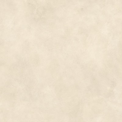 Керамогранит AYT8 Boost Expression Shell Matte 120x120