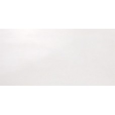 Плитка 8DWC (8DWI) Dwell Ice 80 40x80