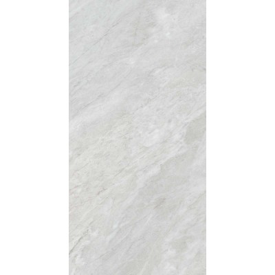 Керамогранит JN2D Versilia Bardiglio Silver Silk RT 60x120