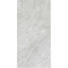 Керамогранит JN2D Versilia Bardiglio Silver Silk RT 60x120