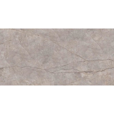 Керамогранит N20553 Silver River Carving 60x120