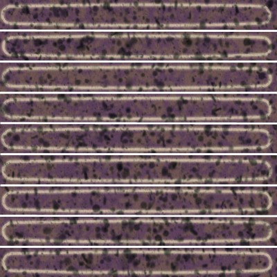 Плитка KMD2SOB005BN Декор чипсет Далия фиолетовый глянцевый 20x20x0,95