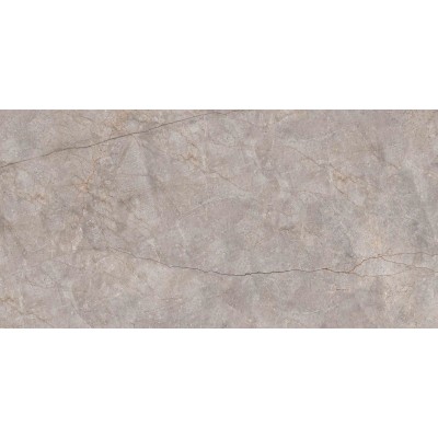 Керамогранит N20553 Silver River Carving 60x120