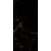 Керамогранит Marble Tropic Black 120x60