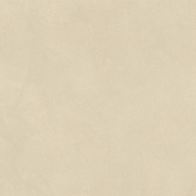 Керамогранит AQ9V Boost Natural Pro Oat Matt 60x60