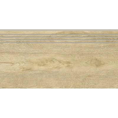 Ступени G-251/SR/st01 Italian Wood 20х60