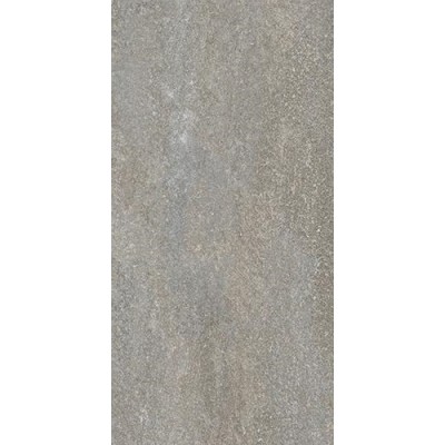 Керамогранит DD204300R Про Нордик серый светлый натуральный обрезной 30*60