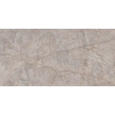 Керамогранит N20553 Silver River Carving 60x120