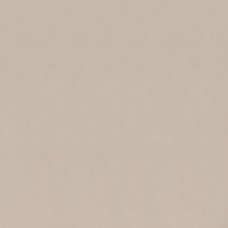 Керамогранит SG153000N Сафьян беж 40.2х40.2