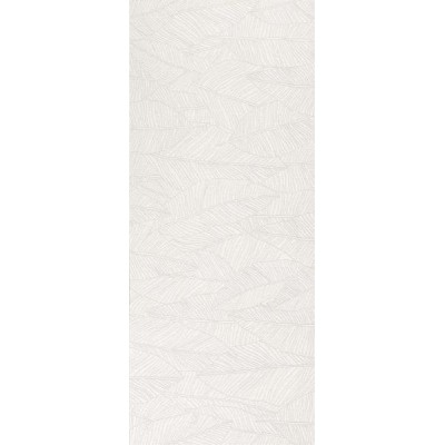 Плитка A6FC White Leaf 50x120