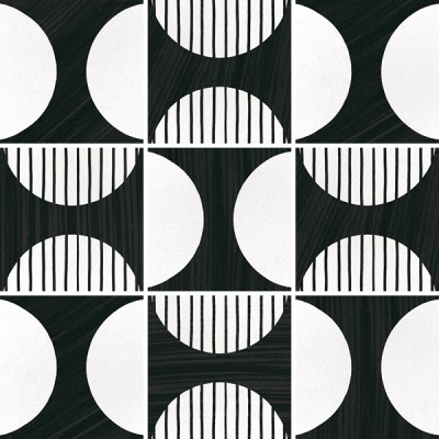 Керамогранит 22126 Caprice Moonline B&W 20x20