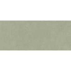 Плитка AYR7 Boost Expression Olive Matte 50x120