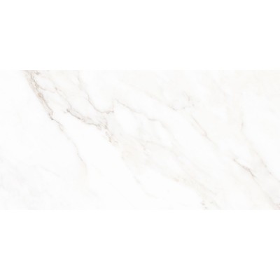 Керамогранит N40030 Calacatta Michael Carving 60x120