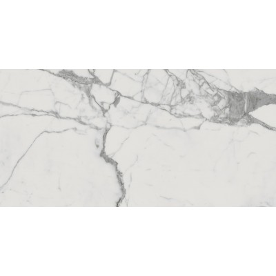 Керамогранит 610010001682 Charme Evo Statuario Nat Ret 80x160