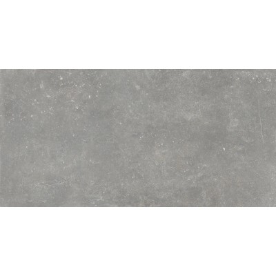Керамогранит Bleuemix Grey 60x120
