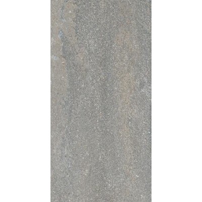 Керамогранит DD204300R Про Нордик серый светлый натуральный обрезной 30*60