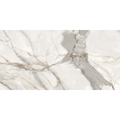 Керамогранит CV20311 Alpe Di Siusi Polished 60х120