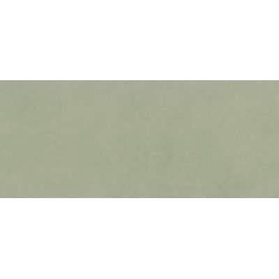 Плитка AYR7 Boost Expression Olive Matte 50x120