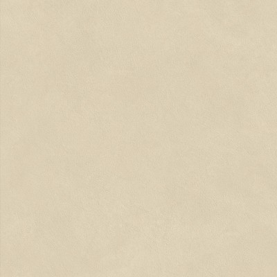 Керамогранит AQ9V Boost Natural Pro Oat Matt 60x60