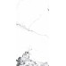 Керамогранит PR222 Videl Bianco polished 600x1200x9