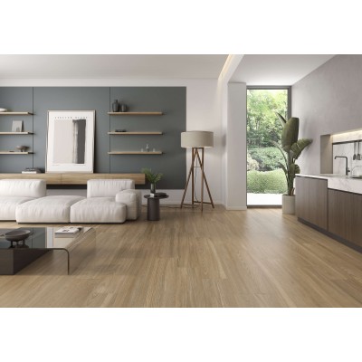 Плитка Concept Siena Matt 120x60