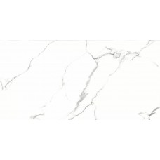 Керамогранит AB 1124G Statiario Titan gloss 1200x600