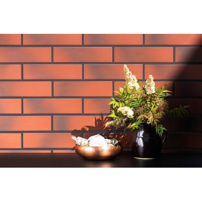 Клинкерная плитка 9522 Elewacja rustiko rott 24,5х6,5х0,65