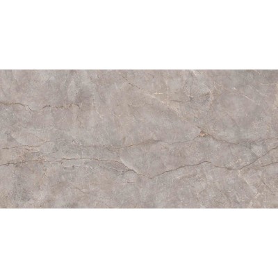Керамогранит N20553 Silver River Carving 60x120