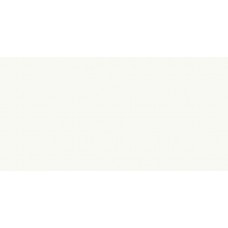 Плитка 600010002357 White Glossy 40x80