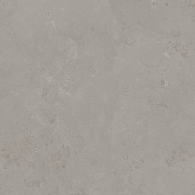 Керамогранит DD640900R Про Лаймстоун серый натуральный обрезной R10 60х60