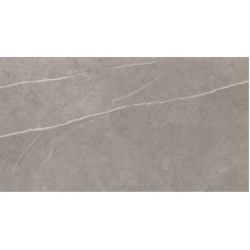 Плитка 9P5S Marvel Silver Dream 30,5x56