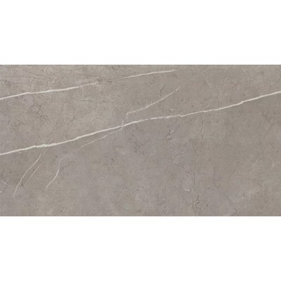 Плитка 9P5S Marvel Silver Dream 30,5x56