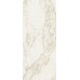 Керамогранит 600180000042 Carrara 120x278