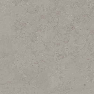 Керамогранит DD640900R Про Лаймстоун серый натуральный обрезной R10 60х60