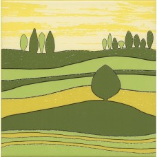 Плитка VT/A557/5109 Бардини 5 20x20