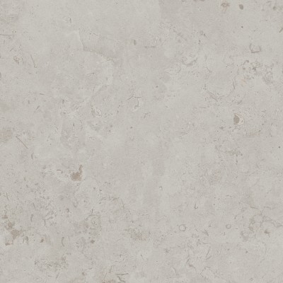 Керамогранит DD641000R Про Лаймстоун серый светлый натуральный обрезной R10 60х60