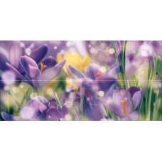 Плитка Панно Crocus P4D286 80х40