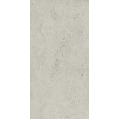 Керамогранит 610010002343 Metropolis Absolut Silver Nat Rett 80x160