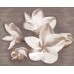 Плитка 584192003 Панно AMATI PLUMERIA ALBA 40,2x50,5