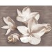 Плитка 584192003 Панно AMATI PLUMERIA ALBA 40,2x50,5