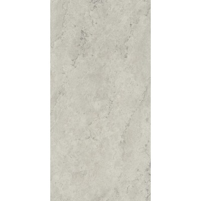 Керамогранит 610010002343 Metropolis Absolut Silver Nat Rett 80x160