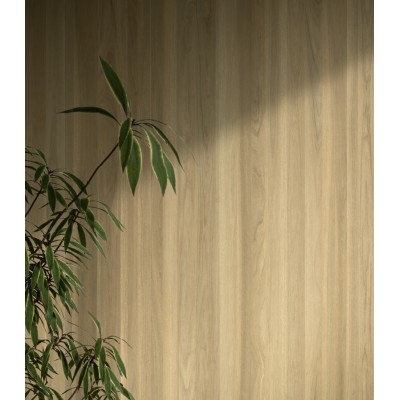 Ступени 620070002956 Magma Mineral Scalino Ang.SX 33x60