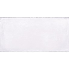 Керамогранит 88373 Crete Zirconio Matt 20x40