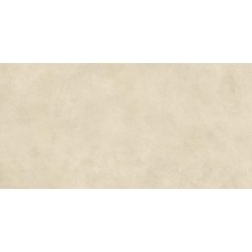 Керамогранит AYUY Boost Expression Camel Matt 60x120