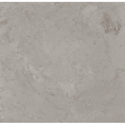 Керамогранит DD640900R Про Лаймстоун серый натуральный обрезной R10 60х60