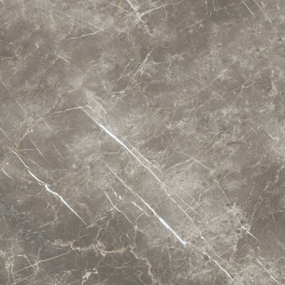 Керамогранит ECB2 Persian Grey Silk RT 120x120