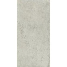 Керамогранит 610010002343 Metropolis Absolut Silver Nat Rett 80x160