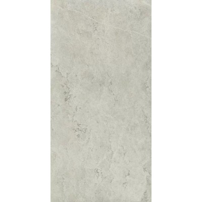 Керамогранит 610010002343 Metropolis Absolut Silver Nat Rett 80x160